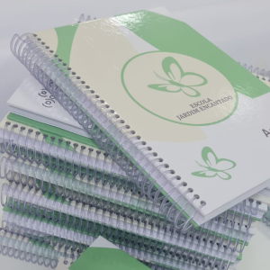 Agenda Escolar Miolo colorido Capa Dura 15x21 Capa 4/0  - Folhas diárias colorida Laminação Espiral Folhas de rosto, calendário e 115 folhas diárias.